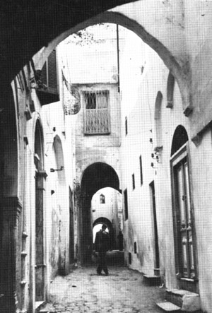 Figure 3: A street in old Tunis, Tunisia. Note the steps for the house on the right are within the fina. Windows are above eye level, and the 